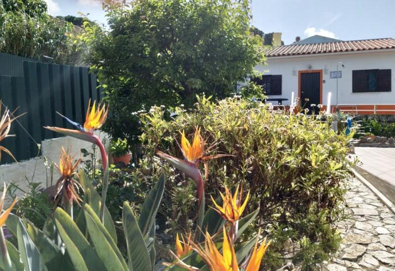 Casa De Campo Em Sesimbra Dış mekan fotoğraf